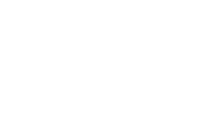 Synaptitude