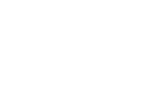 Blockchain Intelligence Group