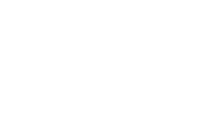 QLUE Express